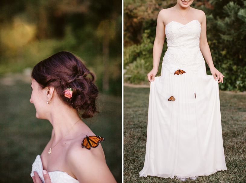 butterfly release at a wedding 