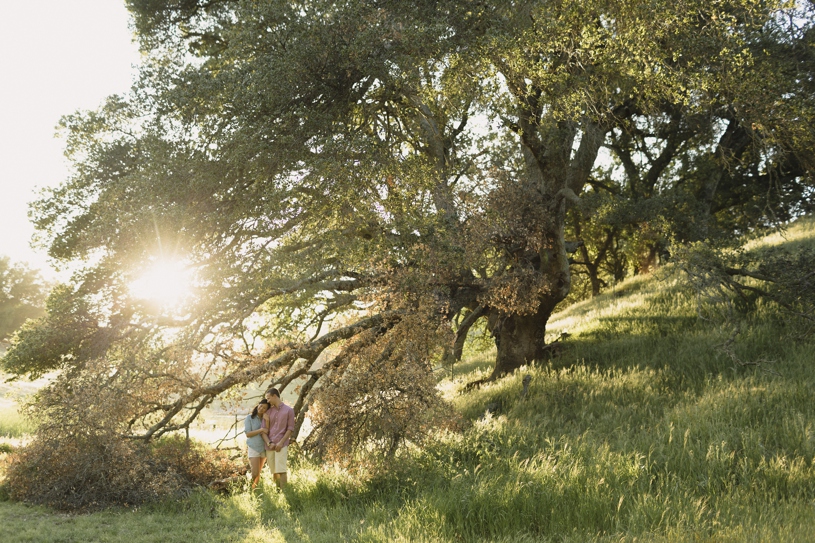 Fine art pastel engagement in nature at livermore morgan territory park by heather elizabeth photography