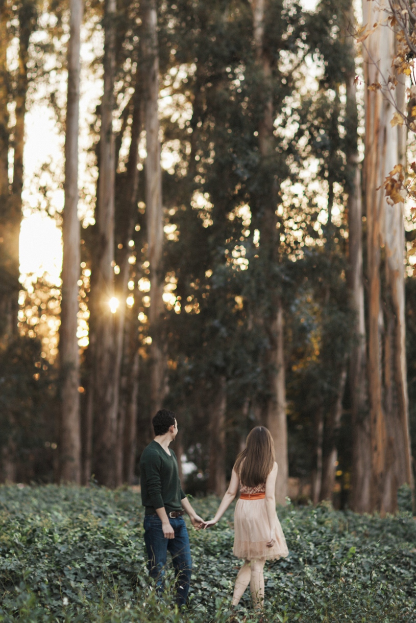 Sunset in the forest engagement session in Berkley by Heather Elizabeth Photography