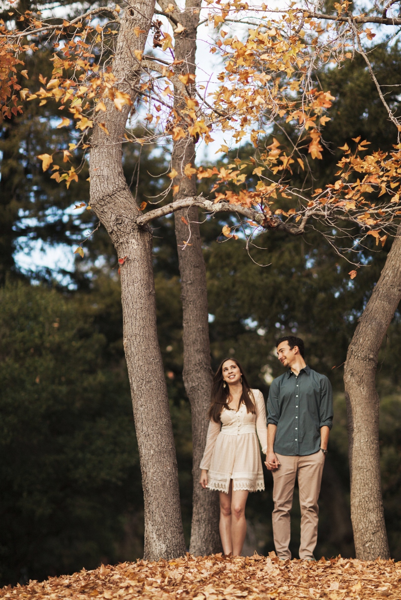 Fall engagement session in Berkley by Heather Elizabeth Photography