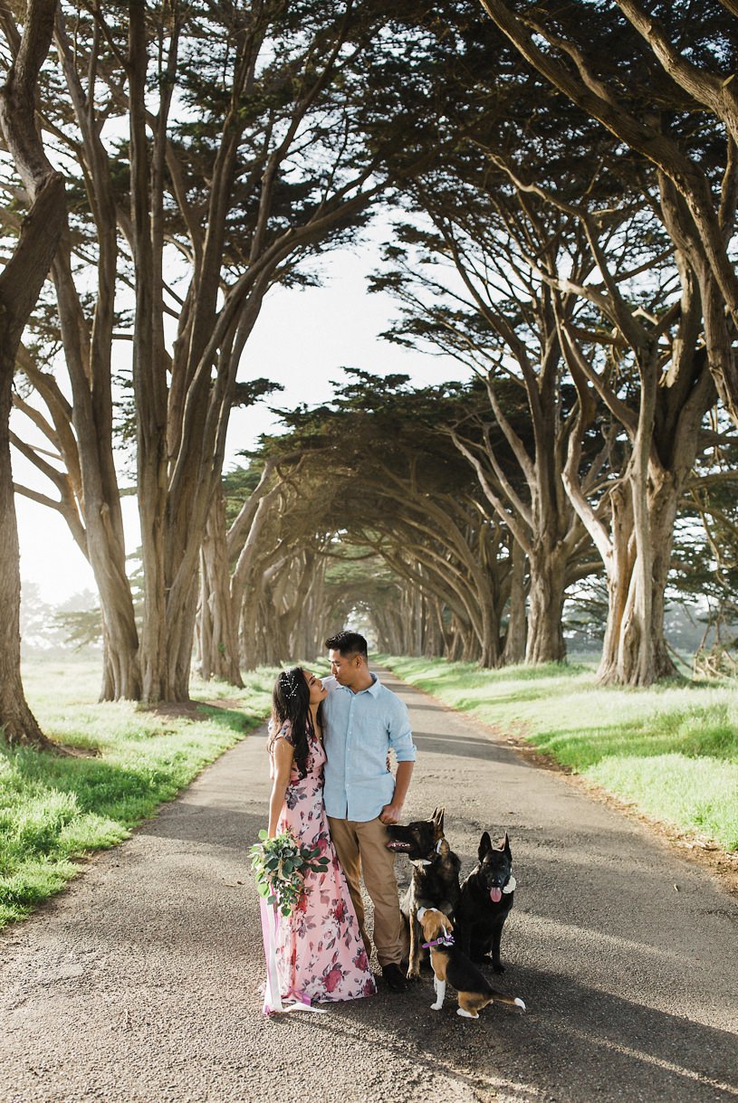 Tien + TuHai Point Reyes Engagement photos with dog friends afbeelding afbeelding