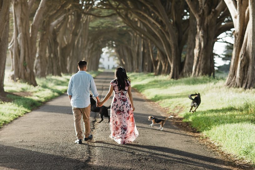 couple walking together with their dogs for their engagement session in point reyes