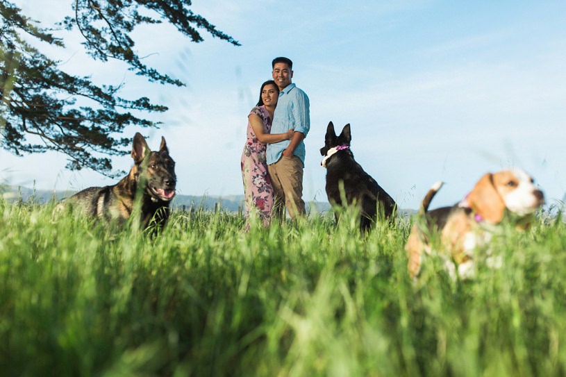 puppy engagement photography in Point Reyes