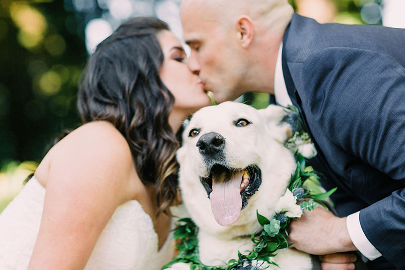 dog friendly wedding venues in the bay area
